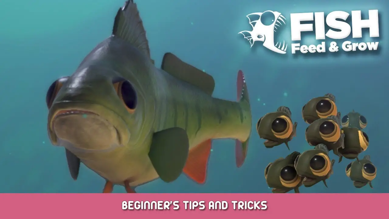 About: New feed and grow fish tips (Google Play version)